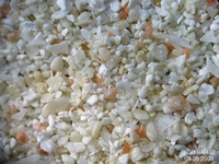 Cliquer pour agrandir