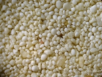 Cliquer pour agrandir
